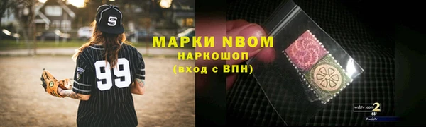 прущий лед Алзамай