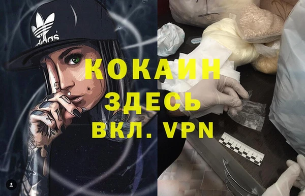 прущий лед Алзамай