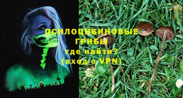 МДПВ Алексеевка