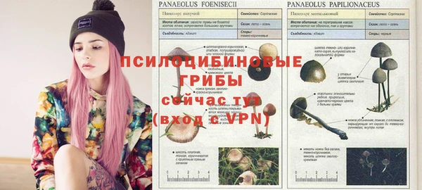 МДПВ Алексеевка